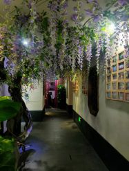 -盘子女人坊生日照·摄影馆(华强店)