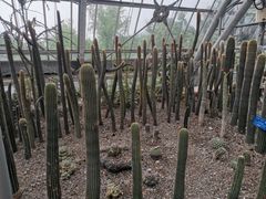 -南山植物园