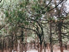 -青州市云门山风景区