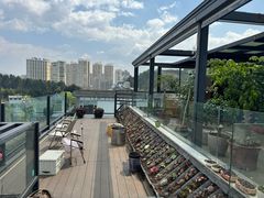 -野菌皇海景野生菌火锅(滨海大道店)