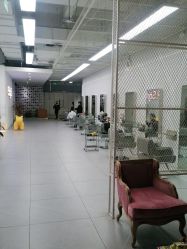 -P.STYLE派斯造型