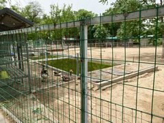 -杨柳青庄园