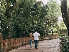 -乌镇东栅景区