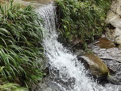 -素山寺森林公园