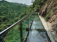 -九龙江国家森林公园