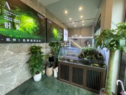 -阅年轻·AI家庭健康体质调理