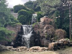 -燕塞湖鸟语林景区