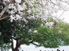 -西湖天地