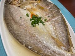 花雕醉黄鱼-寻宝记绍兴菜(鲁迅路店)