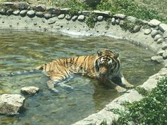 -西安秦岭野生动物园