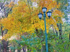 -哈尔滨文化公园