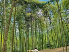 -杨家堂村