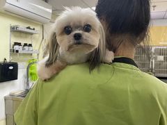 -芭比堂动物医院广州顽皮分院