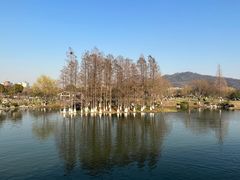 -黄海国家森林公园