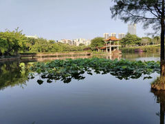 -深圳龙潭公园
