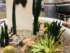 -OUR Bakery(SKP-S店)