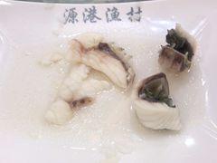 -源港渔村-中山脆肉鲩(博罗店)