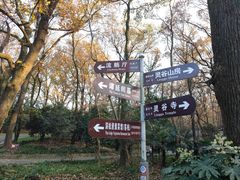 -灵谷景区