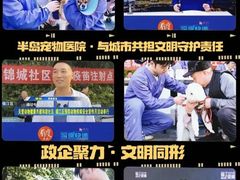 -半岛宠物医院24小时·内窥镜·牙科·碎石中心(府城大道店)