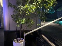-漫·汤泉