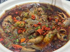 情妹耙泥鳅-情妹耙泥鳅·江湖川菜(科华店)
