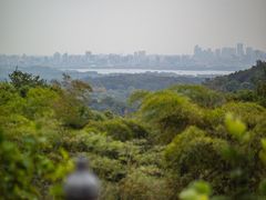 -灵隐飞来峰景区