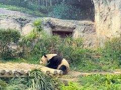 -石排湾郊野公园