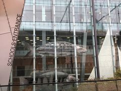 -墨尔本博物馆(Melbourne Museum)