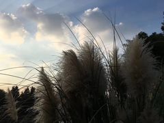 -尚贤河湿地