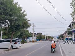 -特克斯八卦城
