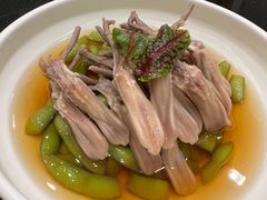 麻辣鸭舌-新南华大酒店(广中店)