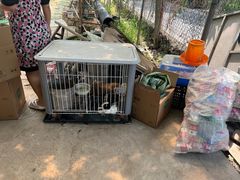 -马陆小张葡萄园农家乐