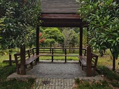 -素山寺森林公园