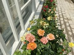 -马路边边麻辣烫联盟路店