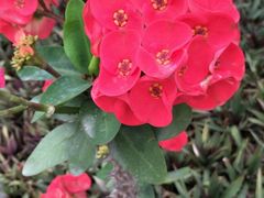 -厦门日月谷温泉渡假村