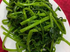 -蛇口康乐快餐鱼仔档(翠苑小区店)