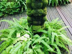 -新加坡植物园