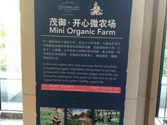 -上海佘山世茂艾美酒店