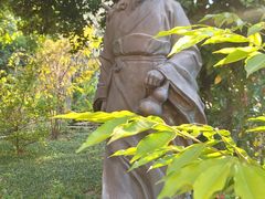 -广州神农草堂中医药博物馆