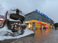 -证大大拇指广场(芳甸路店)