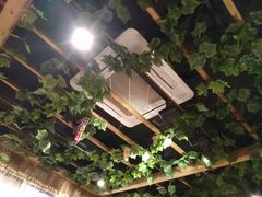 -新疆伏拉沃餐厅(白龙南路店)