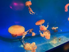 -南昌融创海世界