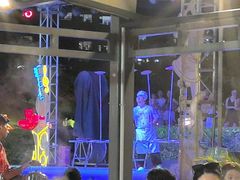 -渔家火锅·海鲜自助餐·演艺(亚龙湾天域酒店)