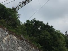 -木兰云雾山