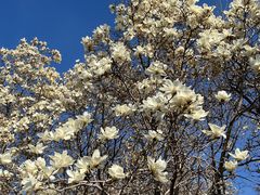 -睦南公园