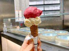 荔枝树莓洛神花-Dip in Gelato(富民路店)
