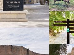 -敦煌莫高国际机场