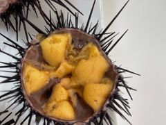 -南山酒肆(南山董事绘店)