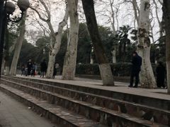 -武汉大学-樱园