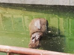 -青藏高原野生动物园